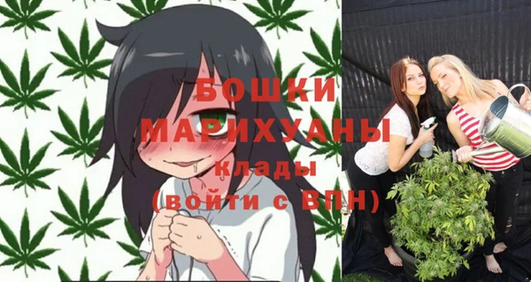 spice Каменка