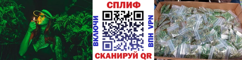 Шишки марихуана OG Kush Олонец